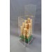 Espositore portaconi gelato da banco 9 fori